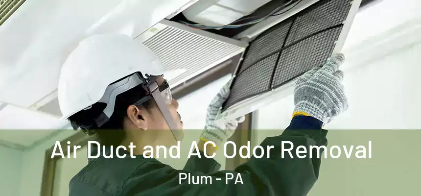  Air Duct and AC Odor Removal Plum - PA