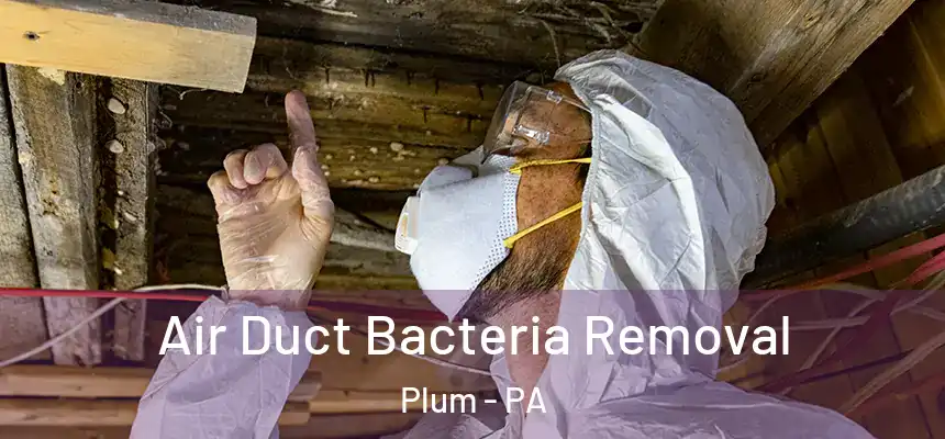  Air Duct Bacteria Removal Plum - PA