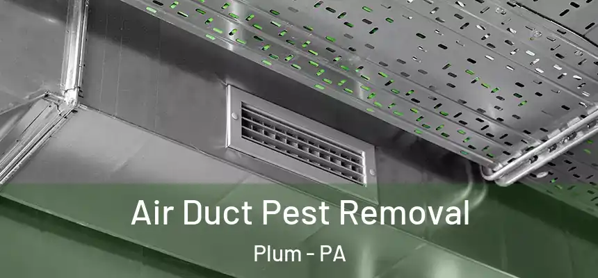  Air Duct Pest Removal Plum - PA