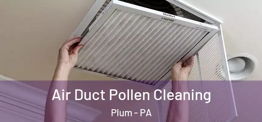  Air Duct Pollen Cleaning Plum - PA