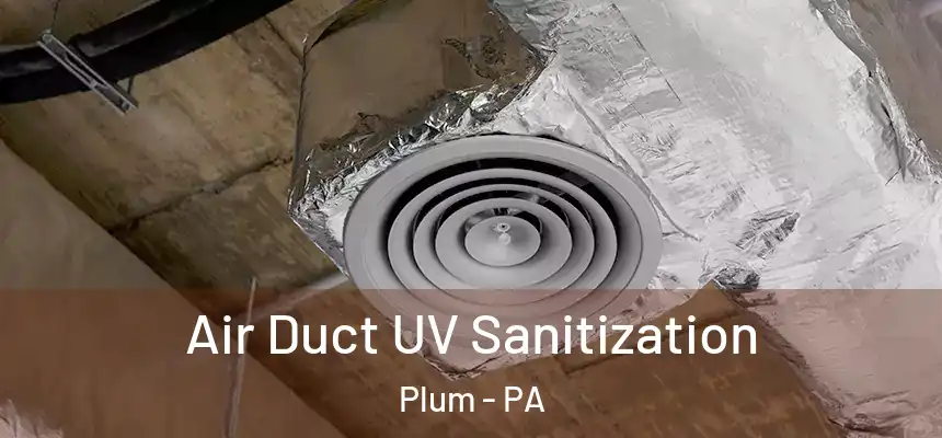  Air Duct UV Sanitization Plum - PA