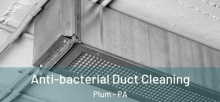 Anti-bacterial Duct Cleaning Plum - PA