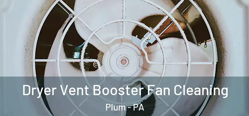  Dryer Vent Booster Fan Cleaning Plum - PA