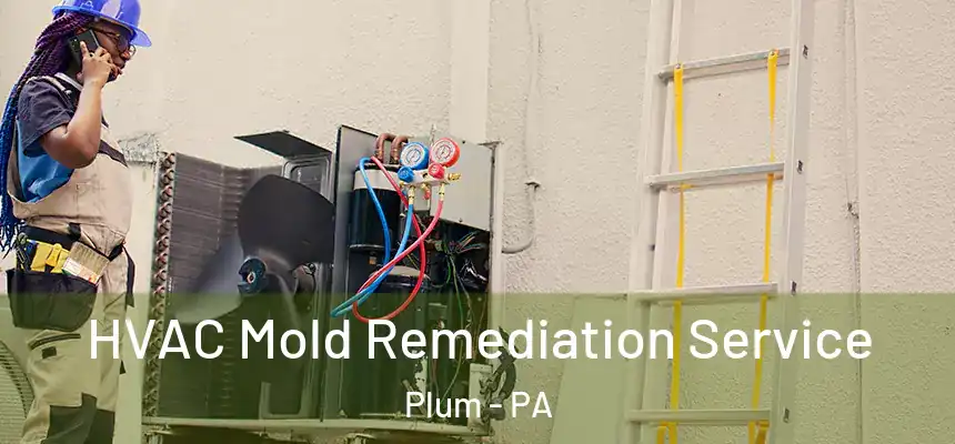  HVAC Mold Remediation Service Plum - PA