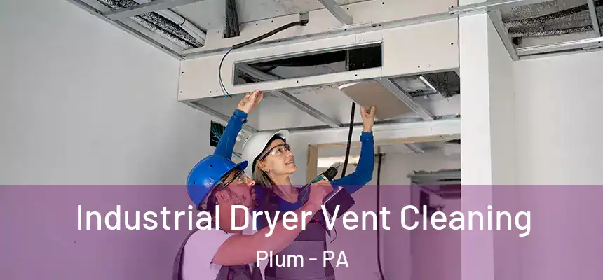  Industrial Dryer Vent Cleaning Plum - PA