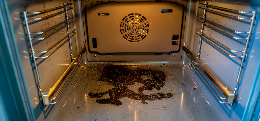 Our Dryer Vent Mold Cleaning Services in Plum, PA