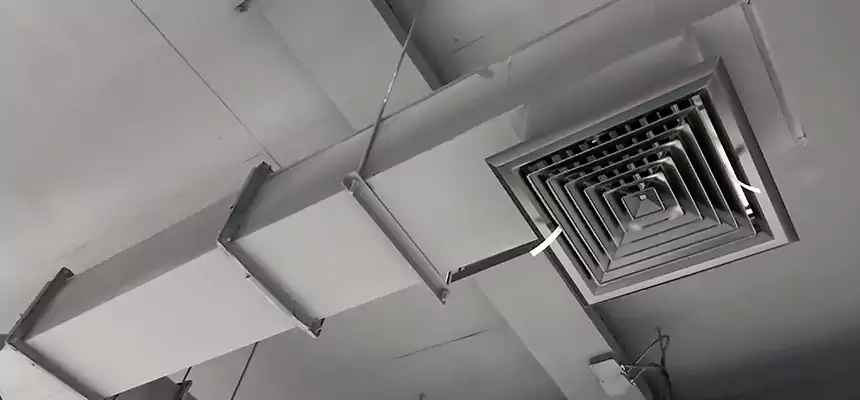 Our Rodent Droppings In Vents Services in Plum, PA