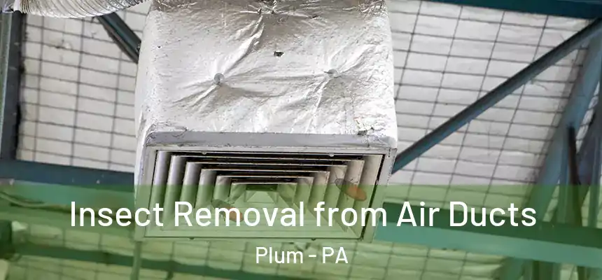  Insect Removal from Air Ducts Plum - PA