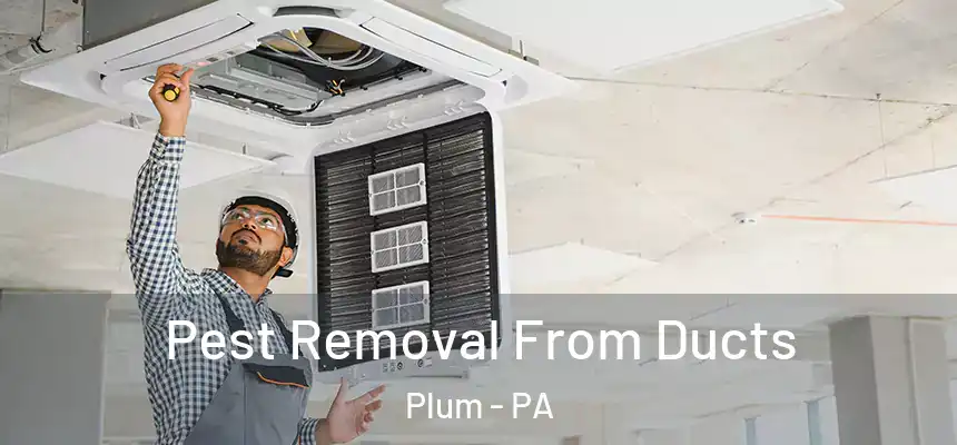 Pest Removal From Ducts Plum - PA