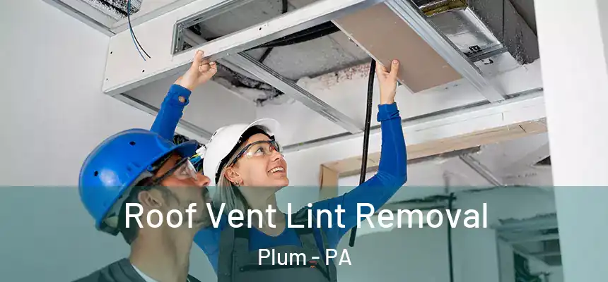  Roof Vent Lint Removal Plum - PA