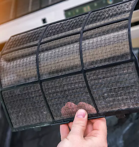 Top-notch AC Air Filter Replacement in Plum
