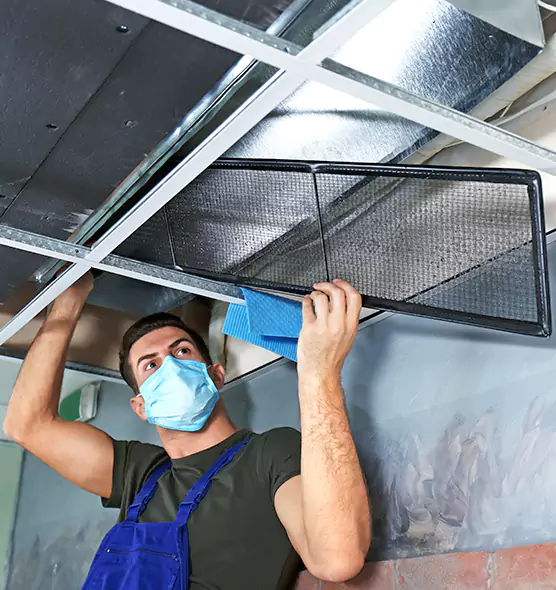 About Air Duct Bacteria Removal in Plum