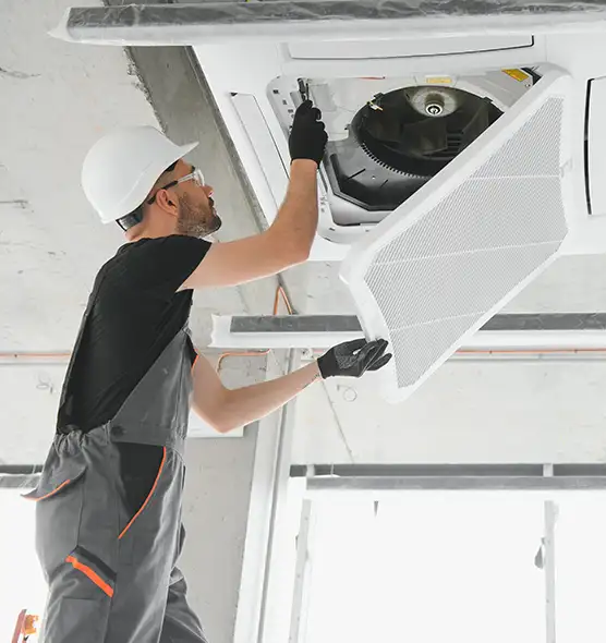 About Air Duct Rodent Removal in Plum, PA