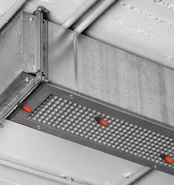 Affordable Insect Removal from Air Ducts in Plum, PA