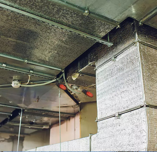 Why Homeowners & Businesses Trust Us in Plum, PA?