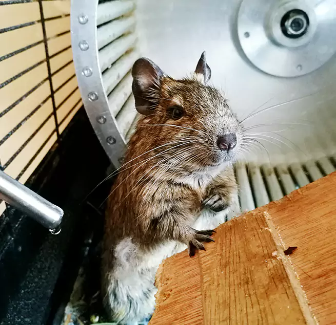 Why Homeowners & Businesses Trust Us Plum, PA?