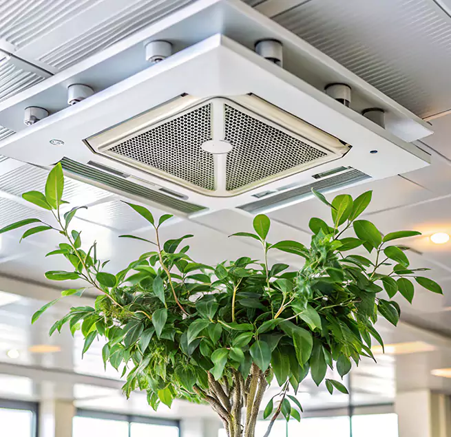 Why Homeowners & Businesses Trust Us in Plum, PA?