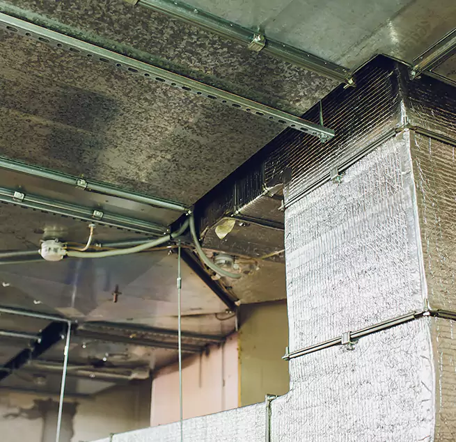 Why Homeowners & Businesses Trust Us in Plum, PA?