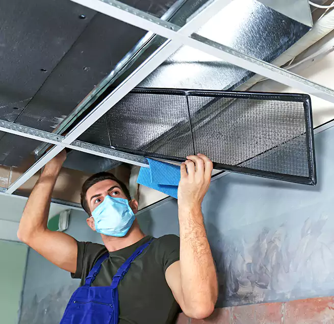 Why Homeowners Businesses Trust Us in Plum, PA