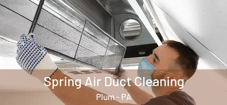 Spring Air Duct Cleaning Plum - PA